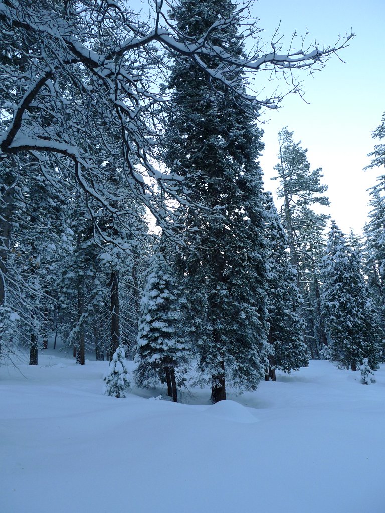 Christmas2010 156.JPG